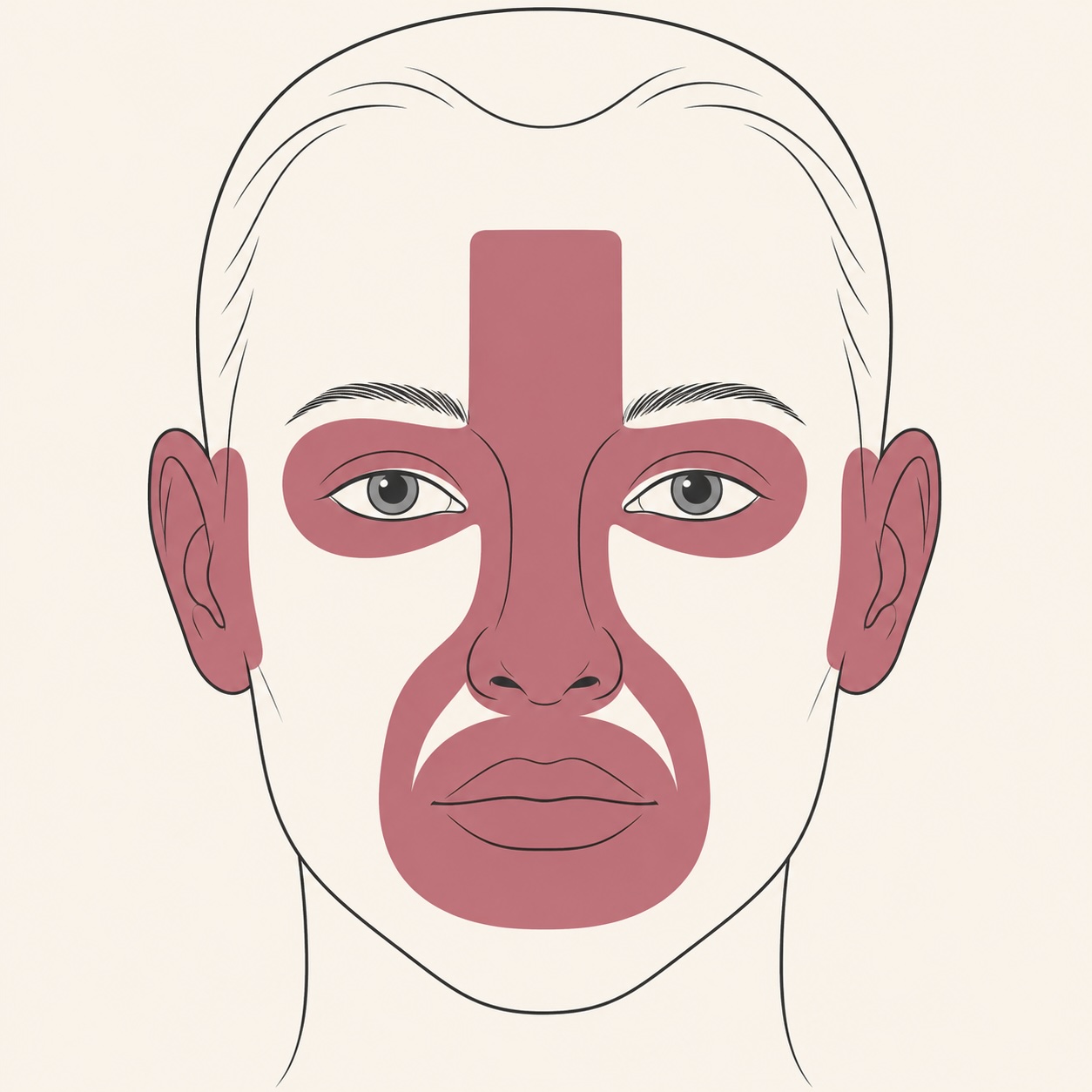 The facial H-zone