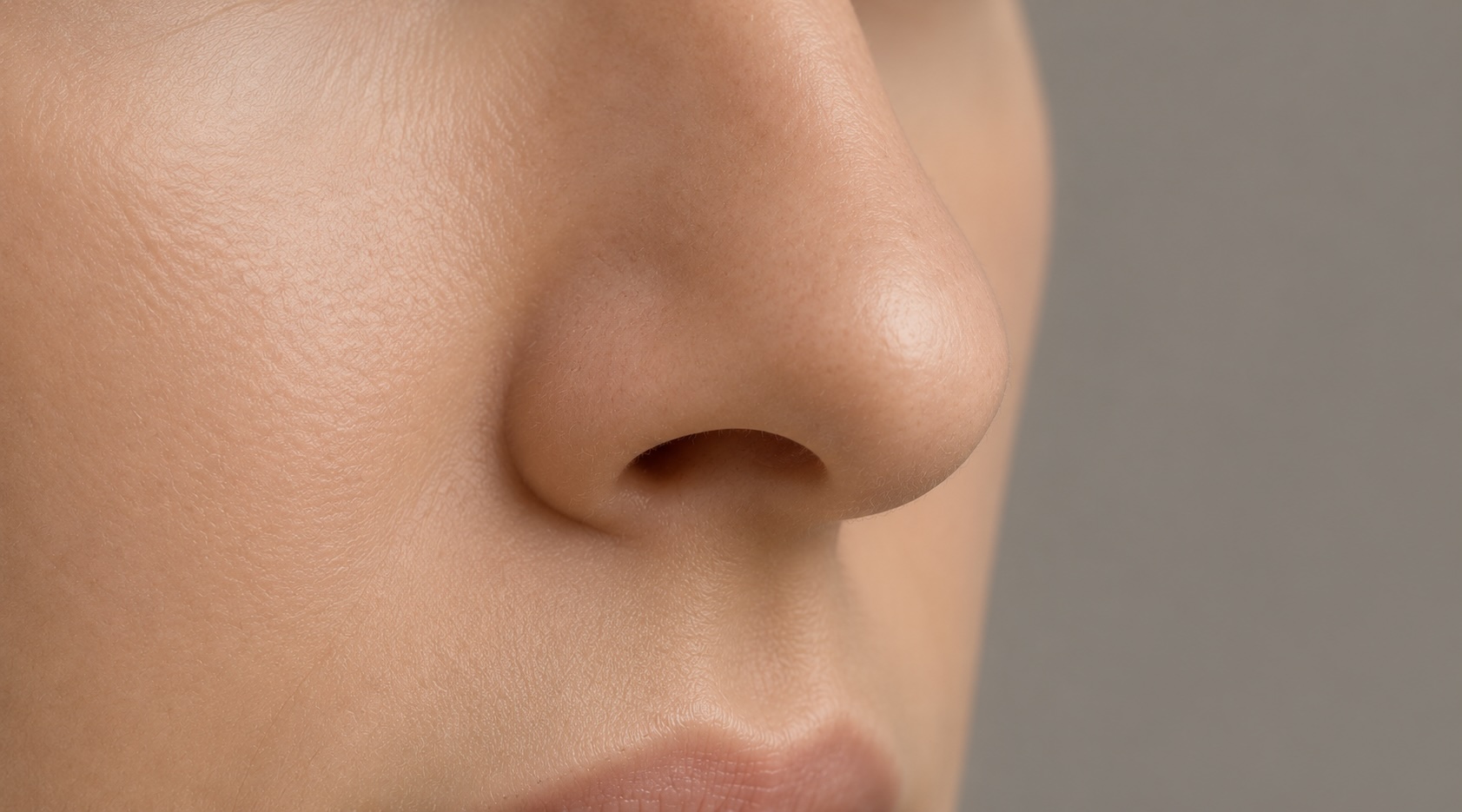 Nose anatomy cover